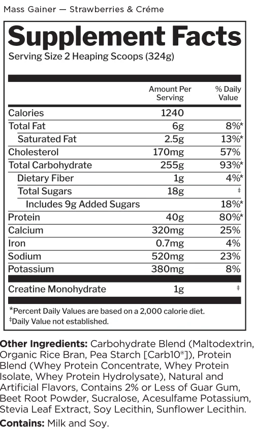 Rule 1 Mass Gainer 3KG