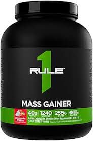 Rule 1 Mass Gainer 3KG